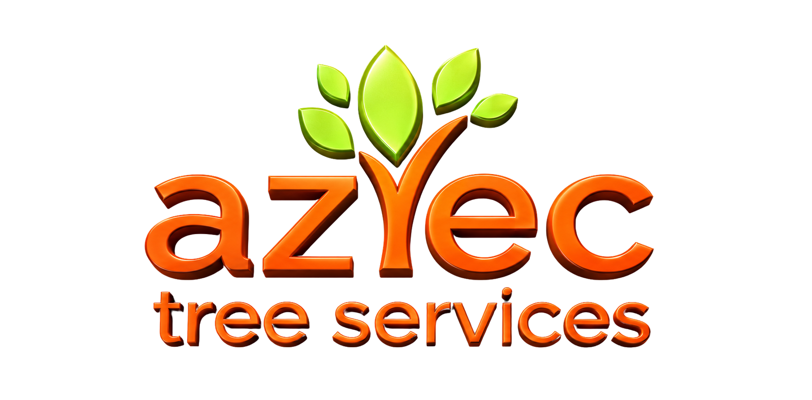 Hayward Tree Removal Aztec Tree Service LLC